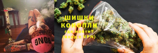 спайс Ельня