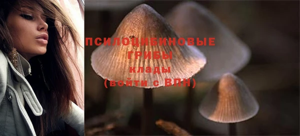 герыч Горнозаводск