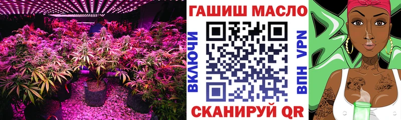 Дистиллят ТГК Wax  OMG ONION  Москва 
