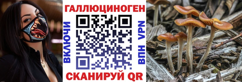 Галлюциногенные грибы GOLDEN TEACHER  blacksprut ссылки  Москва 